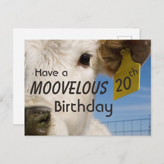 牛の誕生日ナンバー ポストカード (正面/裏面)