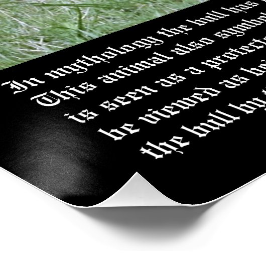 牛の象徴 ポスター (コーナー)