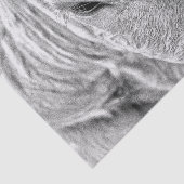 牛の農場のヴィンテージ黒と白の国素朴 薄葉紙 (詳細)