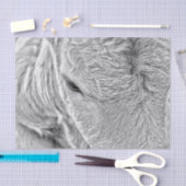 牛の農場のヴィンテージ黒と白の国素朴 薄葉紙 (クラフト)