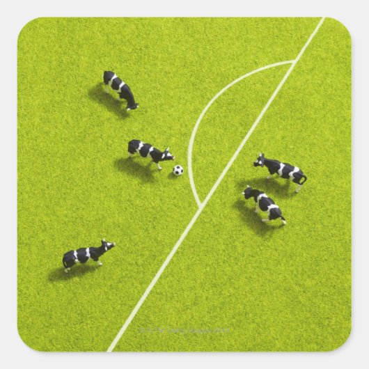 牛の遊サッカー スクエアシール (正面)