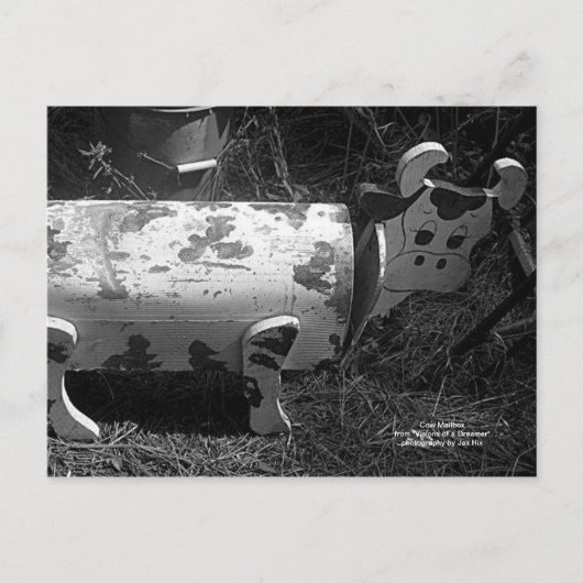 牛の郵便箱 ポストカード (正面)