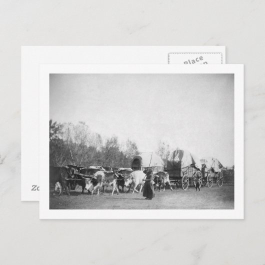 牛の電車でブルホーカーを持つ女と男の子 ポストカード (正面/裏面)