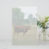 牛の馬と牛の牧場 便箋 (スタンド正面)