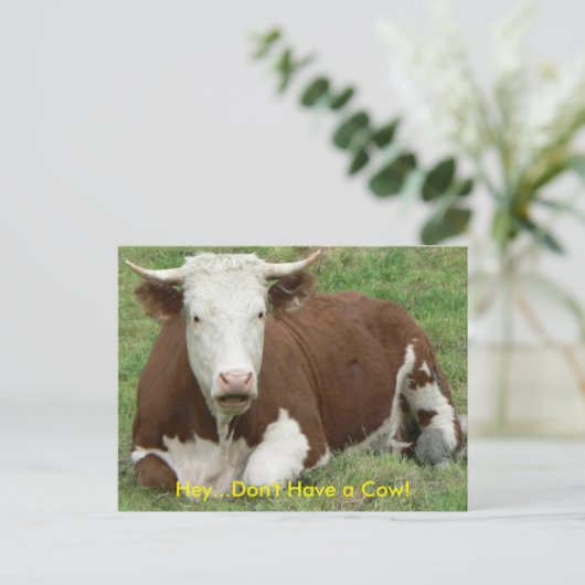 牛はがきを持っていない ポストカード (スタンド正面)