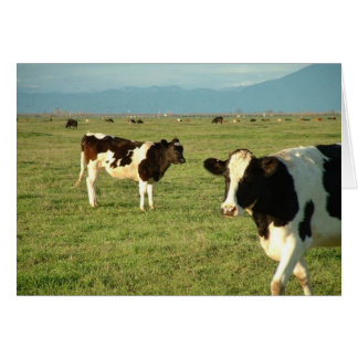 牛はチーズを得ました