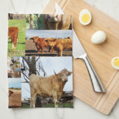 牛は写真コラージュを生み出し キッチンタオル (四つ折り)