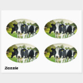 牛は凝視するのが大好き 楕円形シール (シート)