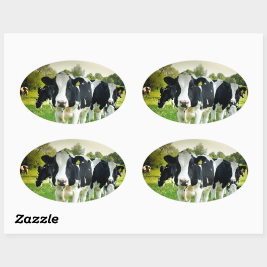 牛は凝視するのが大好き 楕円形シール (シート)