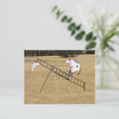 牛は月から飛び降りた ポストカード (スタンド正面)