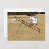 牛は月から飛び降りた ポストカード (正面/裏面)