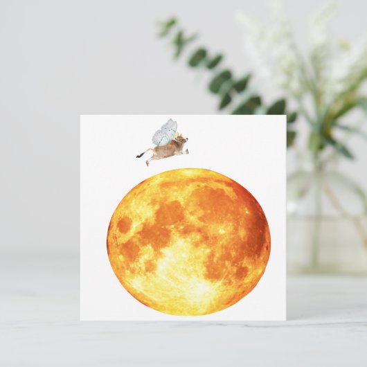 牛は月のカードを飛び越えた 招待状 (スタンド正面)