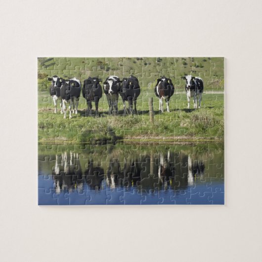 牛は運河に映った、ヘンリー、タイエリ平野。 ジグソーパズル (横)