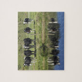 牛は運河に映った、ヘンリー、タイエリ平野。 ジグソーパズル (縦)