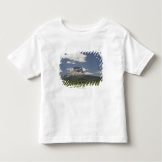 牛を牧草を食べることの牧草地が付いている主な山 トドラーTシャツ
