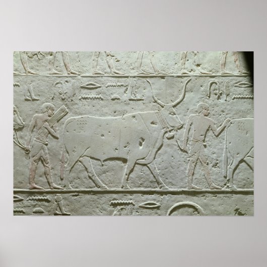 牛を率いる牧民 ポスター (正面)