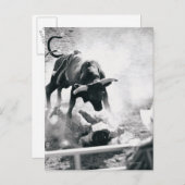 牛を落とした後に地面にカウボーイ ポストカード (正面/裏面)