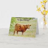 牛を見て驚いたプン誕生日カード カード (黄色い花)
