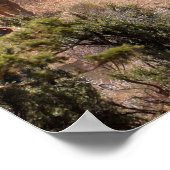 牛を運転する3人のカウボーイと女性のカーボーイ ポスター (角)