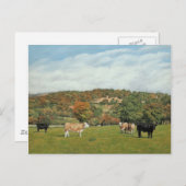 牛アットペンチル ポストカード (正面/裏面)