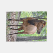 牛オオシカ フリースブランケット (正面(横))