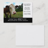 牛オーガニック肉牧場または肉屋名刺 名刺 (正面/裏面)