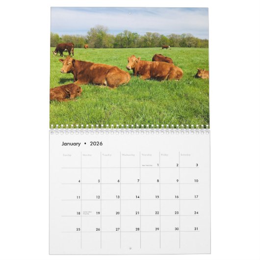 牛カレンダー カレンダー (1月 2026)
