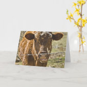 牛キスをする誕生日カード カード (黄色い花)
