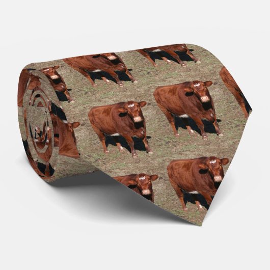 牛タイ ネクタイ (ロール)