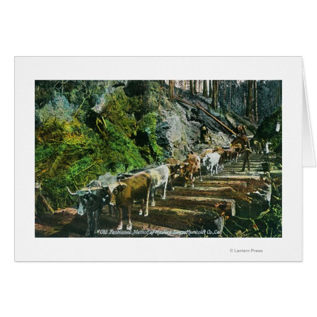 牛チームの運搬ログの表示 (正面横)