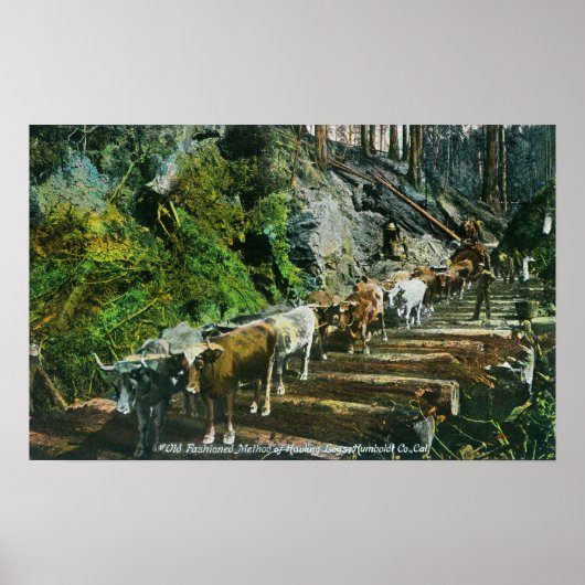 牛チームの運搬ログの表示 ポスター (正面)