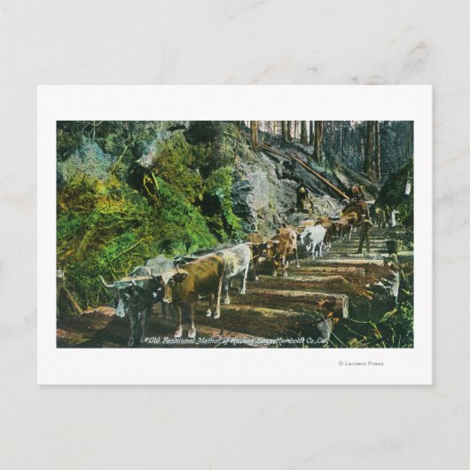 牛チームの運搬ログの表示 ポストカード (正面)