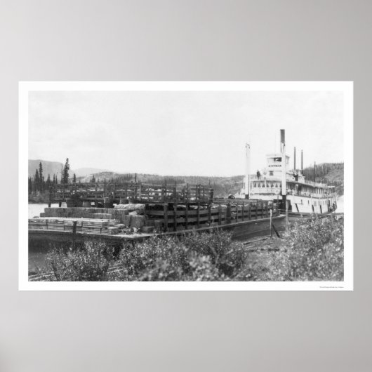 牛バージユーコンリバー1914 ポスター (正面)