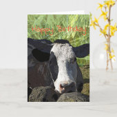 牛バースデー・カード カード (黄色い花)