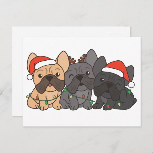 牛フランスの牛のクリスマス動物かわいい犬 シーズンポストカード (正面/裏面)