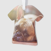 牛フランスの飼 オーナメント (正面)