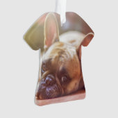 牛フランスの飼 オーナメント (正面)