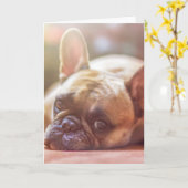 牛フランスの飼 カード (黄色い花)