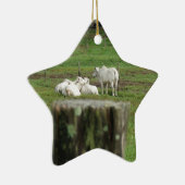 牛ブラフマン及び塀のポスト田園オーストラリア セラミックオーナメント (右)