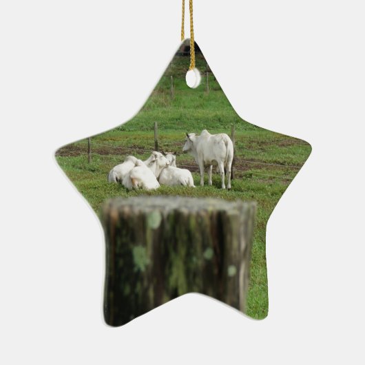 牛ブラフマン及び塀のポスト田園オーストラリア セラミックオーナメント (右)