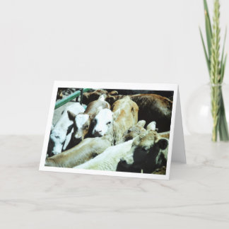 牛ベビーカード カード