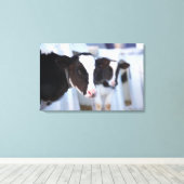 牛ポートレート キャンバスプリント (インサイチュ (ウッドフロア))