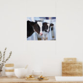 牛ポートレート ポスター (キッチン)
