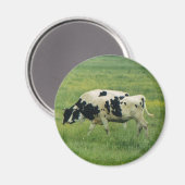 牛マグネット マグネット (正面/裏面)