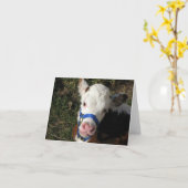 牛メッセージカード カード (黄色い花)