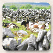 牛モー コースター (正面)