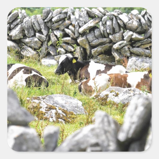 牛モー スクエアシール (正面)