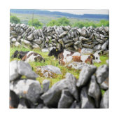 牛モー タイル (正面)