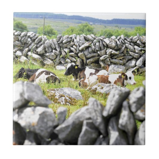 牛モー タイル (正面)