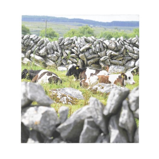 牛モー ノートパッド (正面)